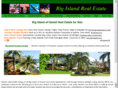 real-estate-big-island.net