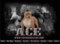 topdogbullies.com