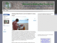 healingsteeldrums.com