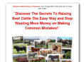 raisingbeefcattleguide.com