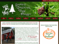 sctf.info