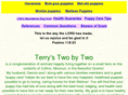 terrystwobytwo.com