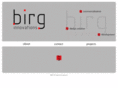 birginnovations.com