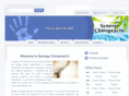 chirosynergy.com