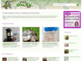 keepingexoticpets.co.uk