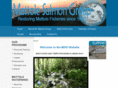 mattolesalmon.org