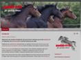 noddevelthorses.com