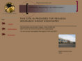 pegasusinsuranceinternational.com