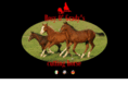 rosyogradyscuttinghorse.com