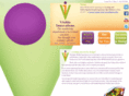 visinno-working.com