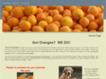 arizonanaveloranges.com