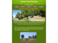 sashaslandclearing.com