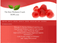 thebestwellnesscoachnow.com