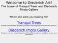 diederichart.com