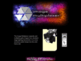 imagemultiplexer.com