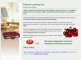 painterconsulting.com