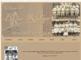 blueridgeleague.org
