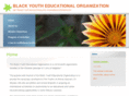 byeduc.org