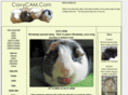 cavycam.com