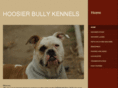 hoosierbullykennels.com