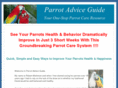 parrotadviceguide.com