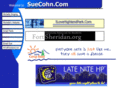 suecohn-weinstein.com