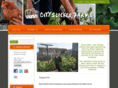 cityslickerfarms.org