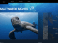 saltwatersights.com