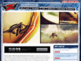 zapskimboards.com