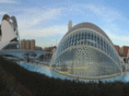 unitrauma.es