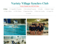 vvscsynchro.com