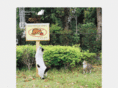 camerastyle.jp