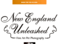 newenglandunleashed.com