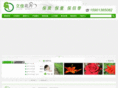 zzlijia.com