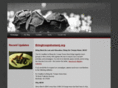 bringtroopshomenj.org