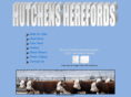 hutchensherefords.com