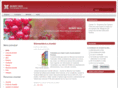 iesgerena.org