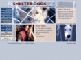 shelterdogs.org