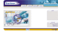 gartneregypt.com