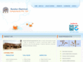 kundanelectrical.com