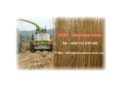 miscanthus-czech.com