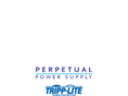 perpetualpowerprotection.com