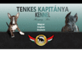 tenkeskapitanya.com