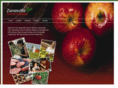 zanesvillefarmersmarket.com