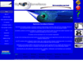 bbscctv.net