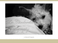 la-cinderella.com