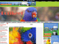 mylorikeet.com