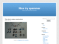 nicetryspammer.com
