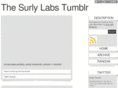 surlylabs.com