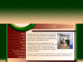 thenewmanbrothers.com